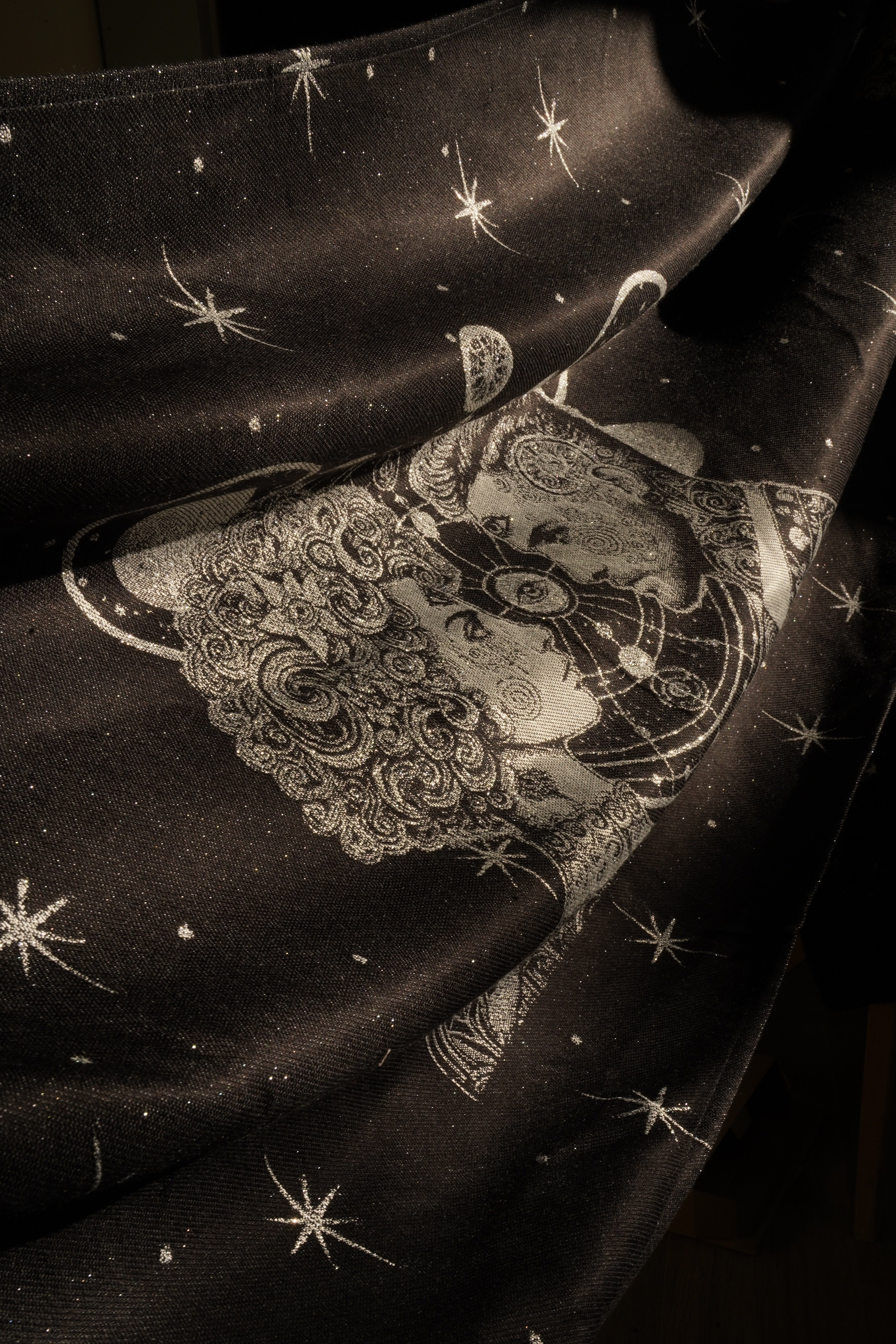 Baby Carrier Flip Vega and Altair