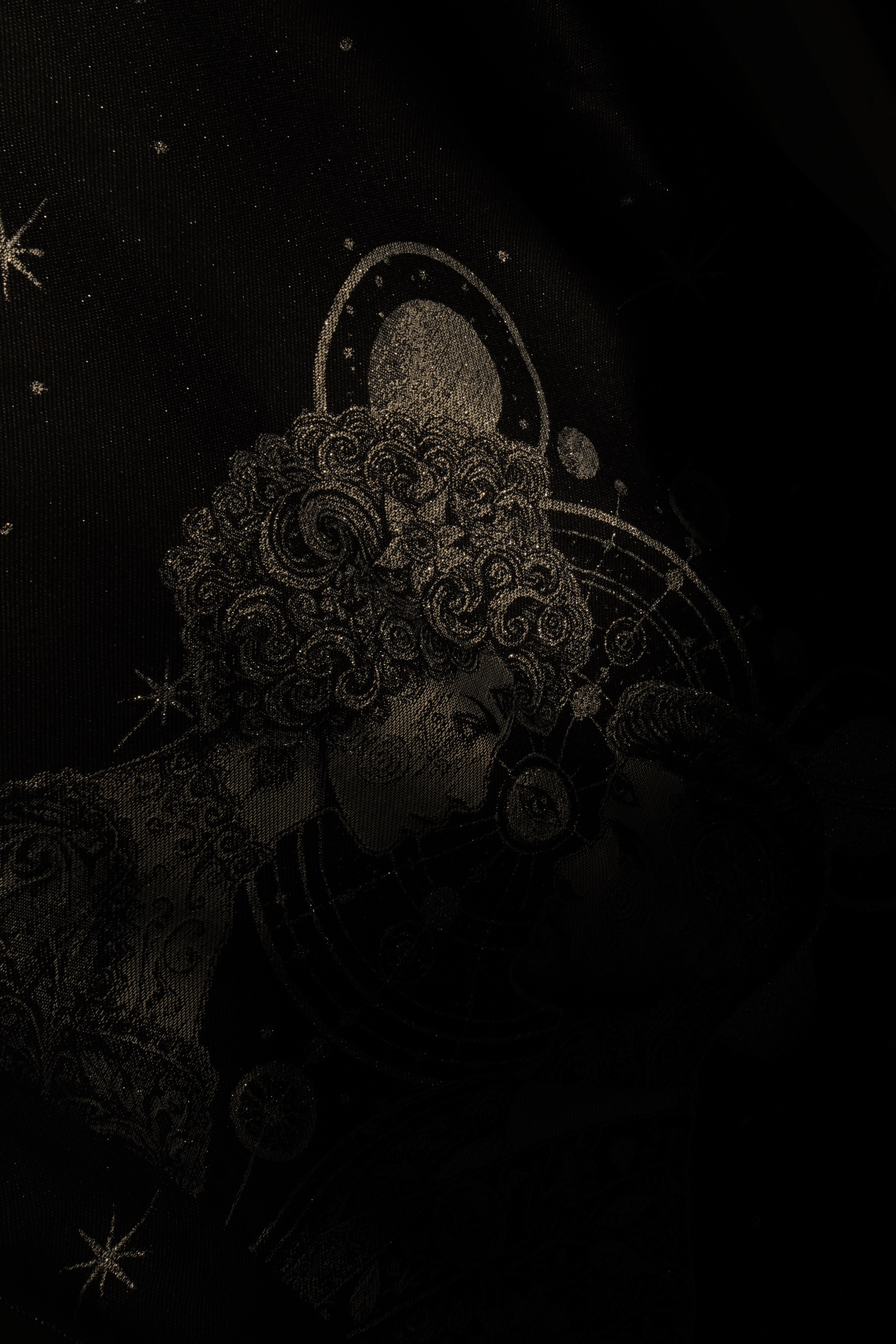 Baby Carrier Flip Vega and Altair