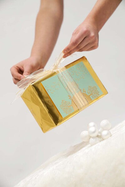 Connect Basic package