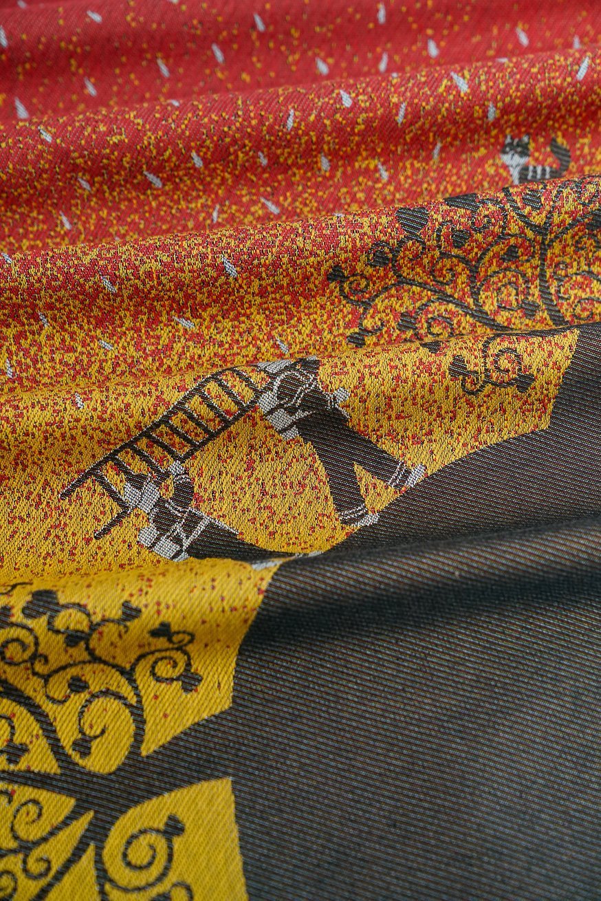 RingSling Jonah in fire country - KOKADI